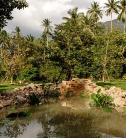 The Yoga House