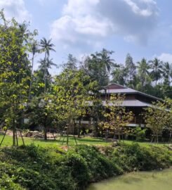 The Yoga House
