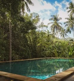 The Yoga House